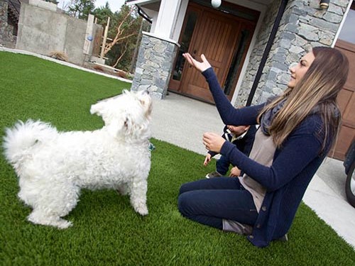  Discover the Best Ojai Hotels: Pet-Friendly Retreats for You and Your Furry Friends**